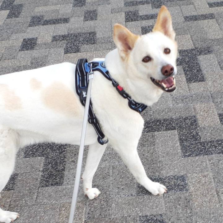 Aa6bf6b0 35c6 426b 8ed9 d0d0f056a82d 1647757371355