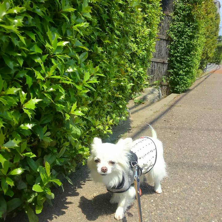 Aa6c1b0a ff28 44ba a292 1e244ecf68b3 1525053032691