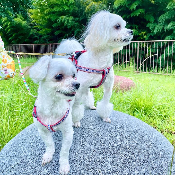 Aa6c2db2 9b08 4a3d 8621 654310ec2ffd 1630994545274