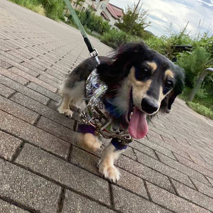 Aa6c4c3c 545d 4faa a4ae a4b07afc641f 1757813193958