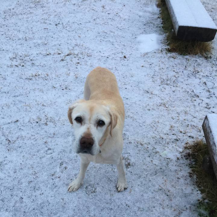 Aa6c4e08 aa5a 49cd 8c5a 7df1f4169274 1512775107751