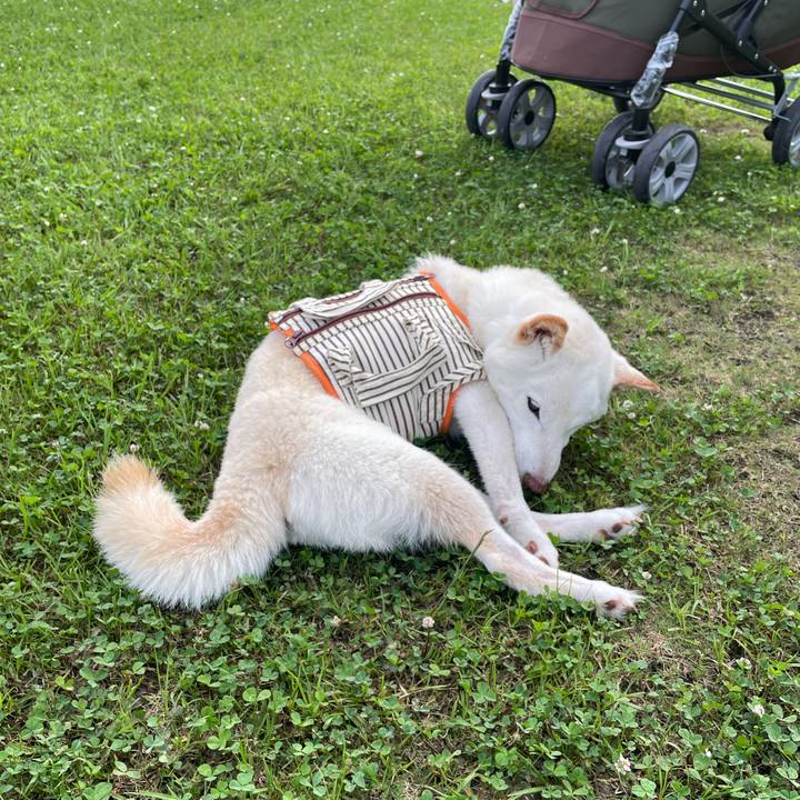 Aa6c703c 2462 4943 ab27 5810d011e113 1655904435924