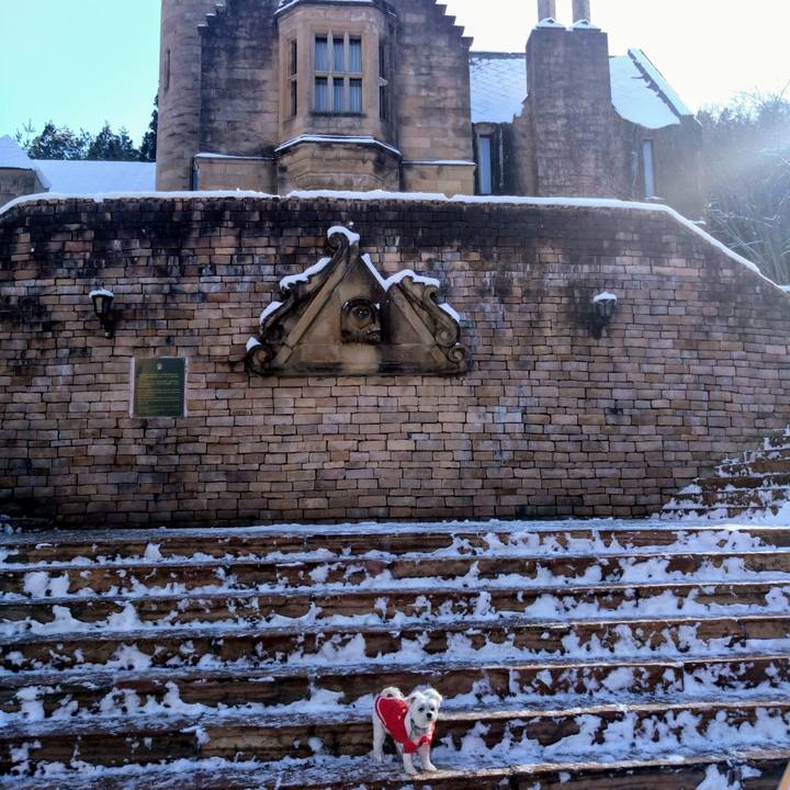 Aa6c7b3c 494f 43df a020 043184350cf7 1767518057304