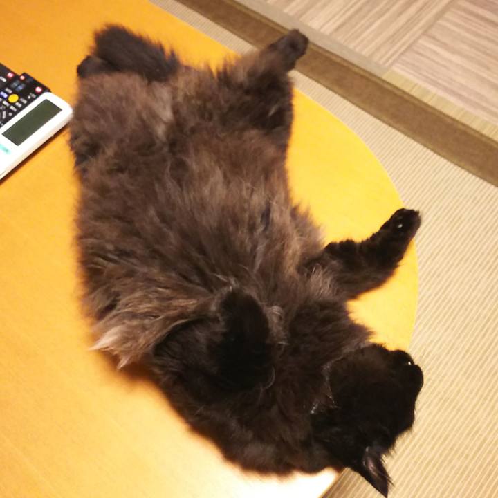 Aa6c842c b7d1 4e6d 969b a0c2617d8f3a 1564915175741