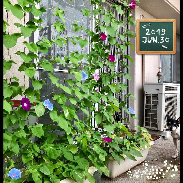 Aa6cae3b 9d11 4149 997a af143f3de907 1561857288142