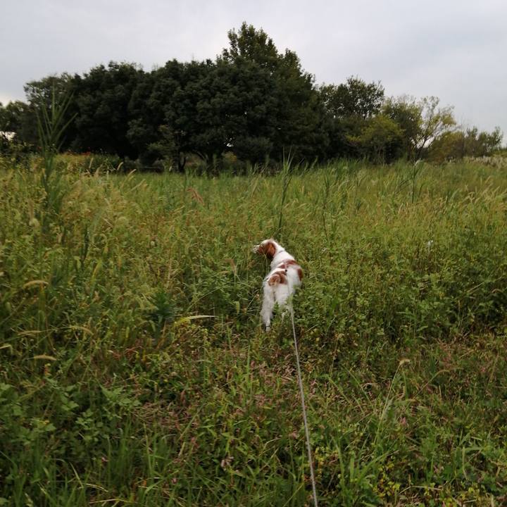 Aa6d4ab1 9152 4e8c a1c1 c64c369e8272 1633944332525