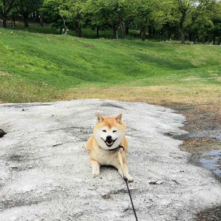 Aa6d52d6 bbf4 4e26 b781 212cb41c8b97 1652251252945