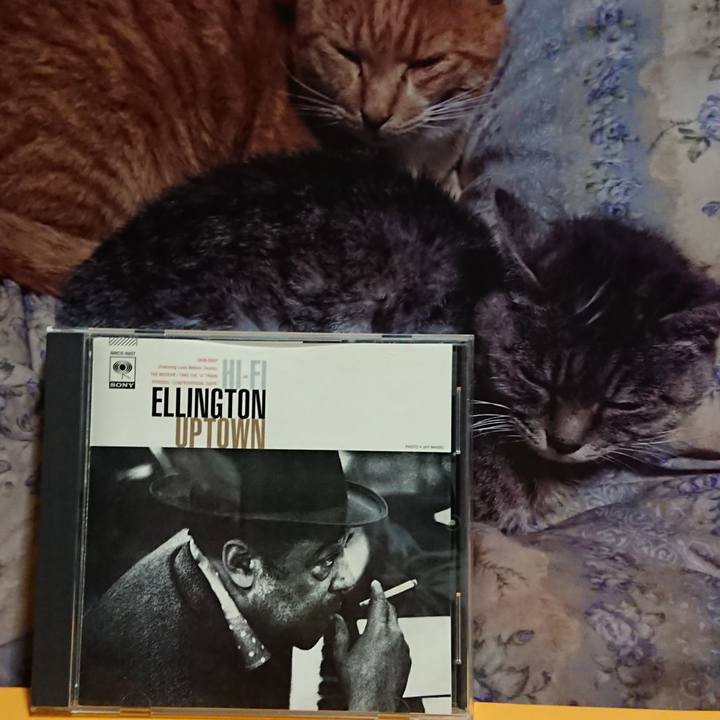 Aa6d6600 dbe9 4037 9483 039505c65537 1621607328797