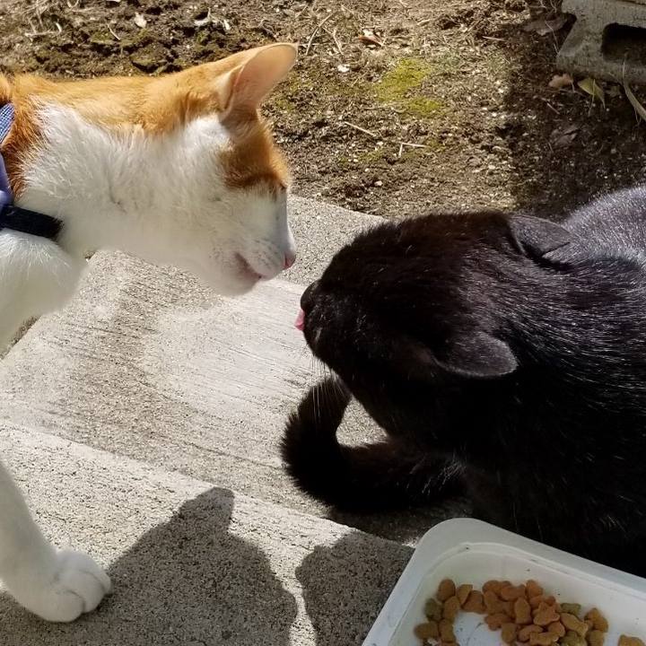 Aa6d8608 f7d2 45b6 a814 4482e57a1a35 1520153334589