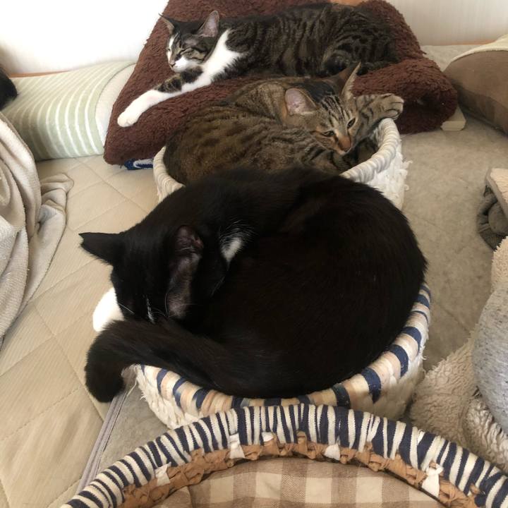 Aa6d8b94 02c6 4363 b459 0d57769dfa92 1622046463421