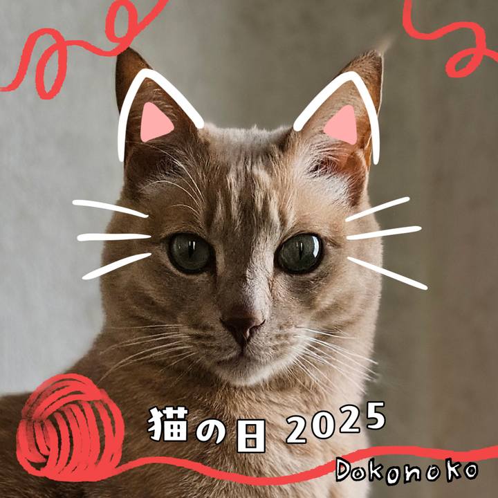 Aa6d8e95 40a6 4e03 9cd2 f7e0aebe3c2e 1740133347608