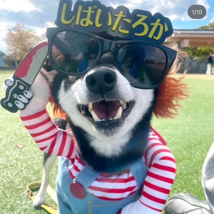 Aa6d96b3 5ed8 4b33 a6d0 5e77270172c1 1740538550212