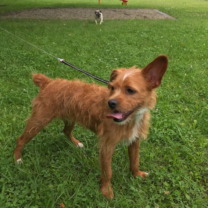 Aa6d9a4f 369e 4cfa a29a e9ffe01a2ac2 1563666456418