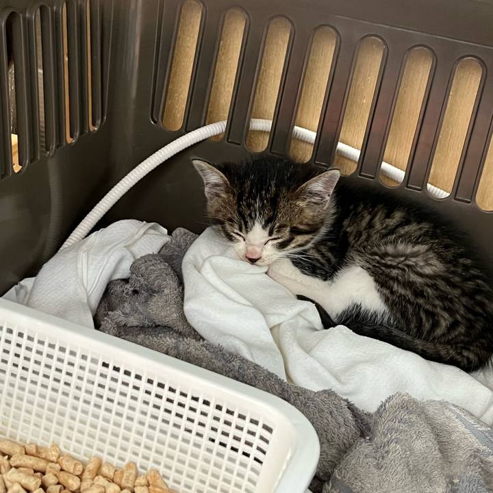 Aa6dac1b bebd 4671 af53 28a42cf32310 1763967819306