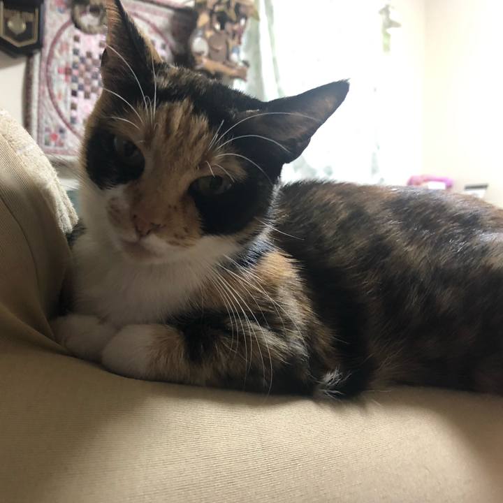 Aa6dae26 b806 4380 bf8d c1d4415eb3e2 1610026630505