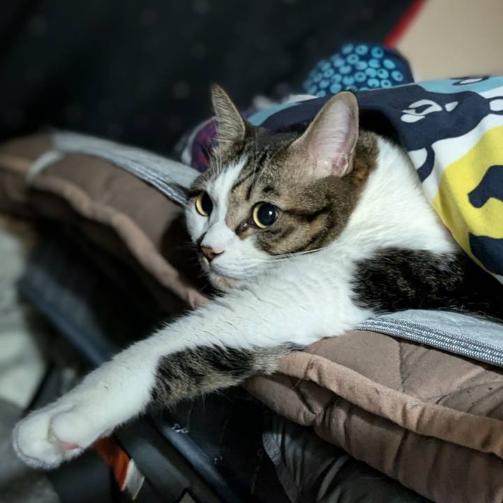 Aa6dcc76 b3f7 4ca5 8759 f324d4c601f7 1731500334007