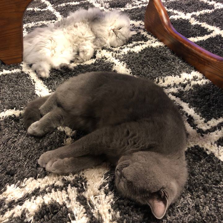 Aa6e64ad d88c 44cd 8d36 56d2e4fedc21 1575263792592