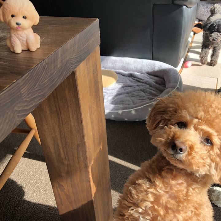 Aa6e6ef0 b1b6 4a2c 9d28 41f68973e394 1613744717800