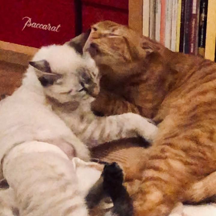 Aa6e8505 7df9 431c 9f11 ae9725f921e2 1733308495896