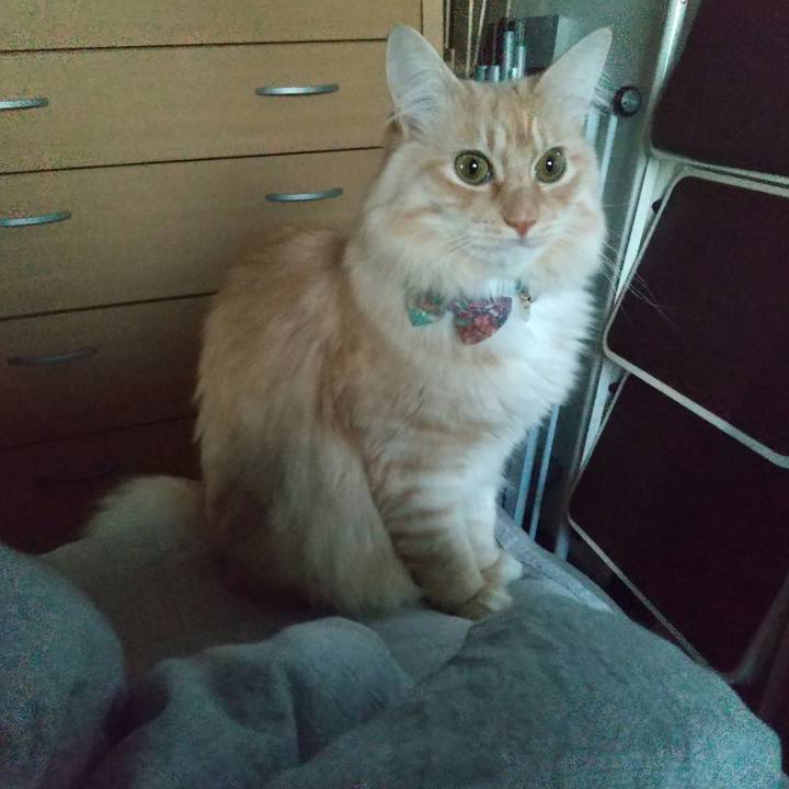 Aa6e8b2d e0ac 4105 a2d0 aa6a7ebb682e 1642464195827