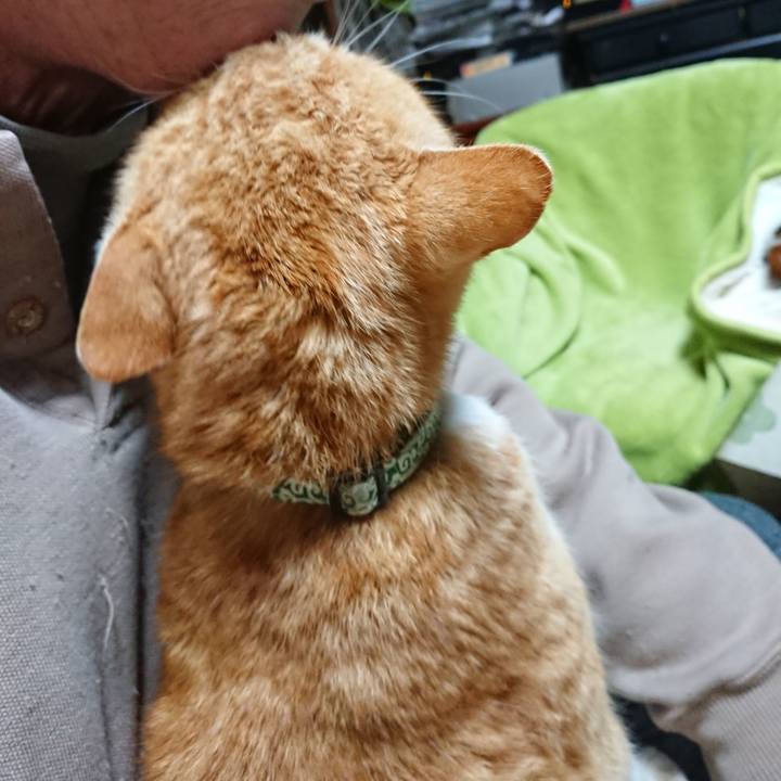 Aa6e8b99 3af7 449c bd94 b0411b6c3cd1 1583179436337