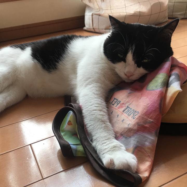 Aa6e8be5 0187 41a6 9df3 54922b356923 1531712363611