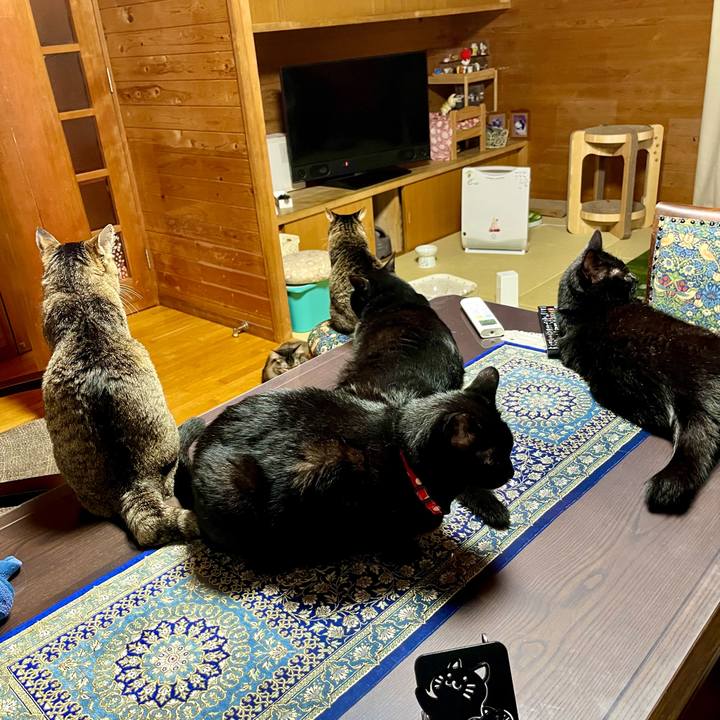 Aa6e93de 8ebb 47c9 9cb0 6777adaf6d3c 1690550061642