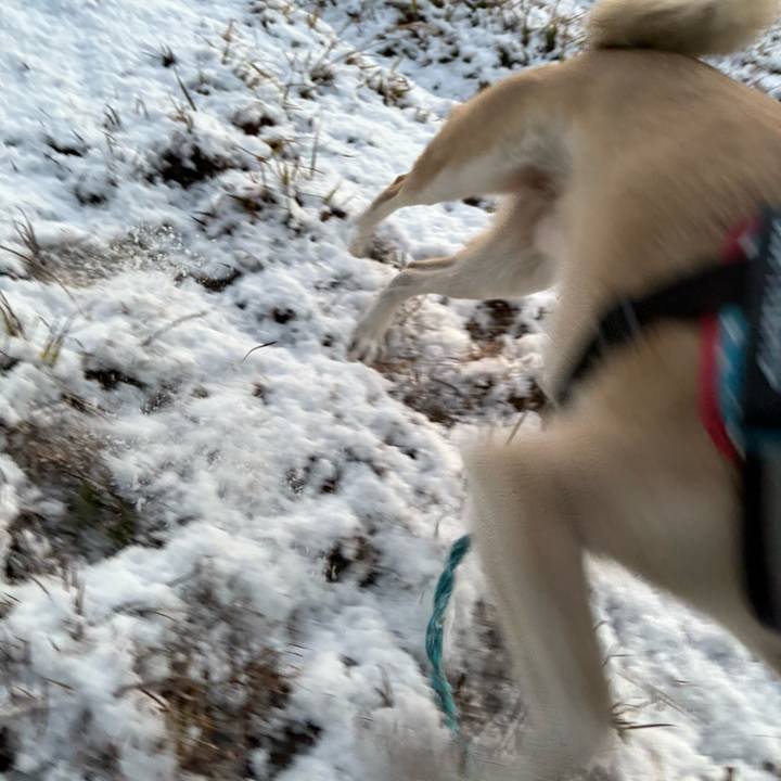 Aa6e9b30 471f 4bb0 8747 58617da101e8 1738845924615