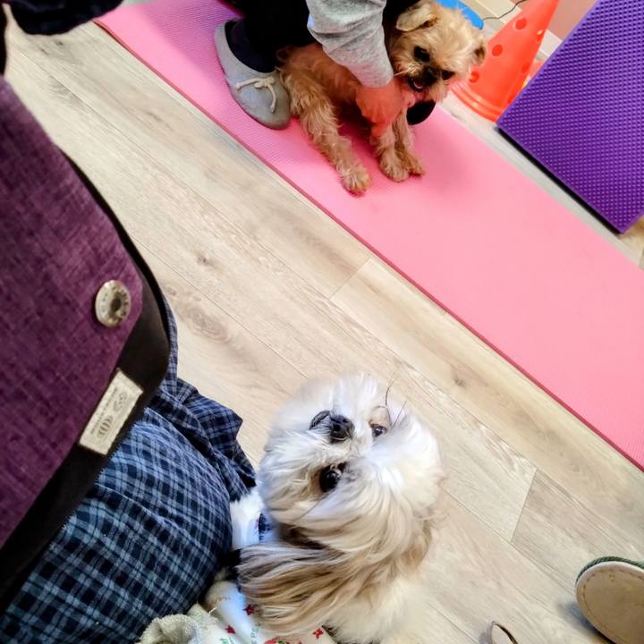 Aa6ec36a ff89 4411 8ec4 f1f84d028fd9 1704793044784