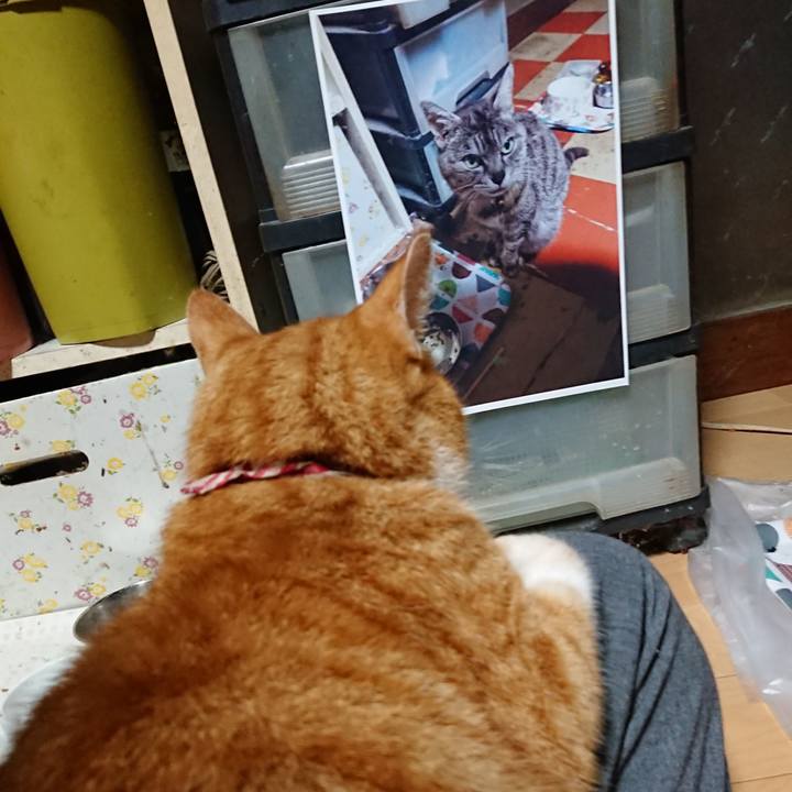 Aa6ec660 7e80 4bc5 8b62 cfd9feea6258 1601066917364