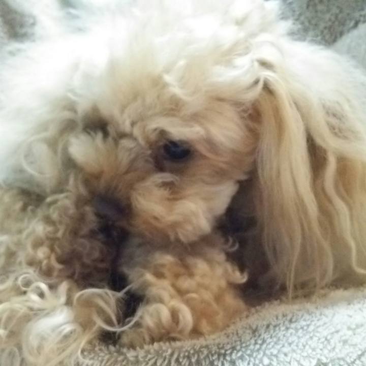 Aa6ee80d 90ba 4ffe b631 1bd9cb77e89f 1523880079375