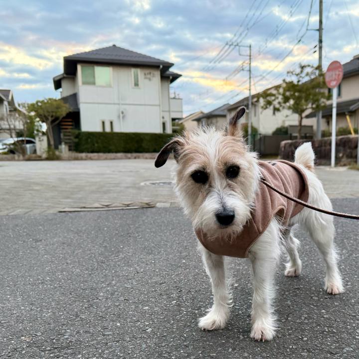 Aa6f08d3 c0bd 4f1a ab57 bb74070f6fe7 1770007108332