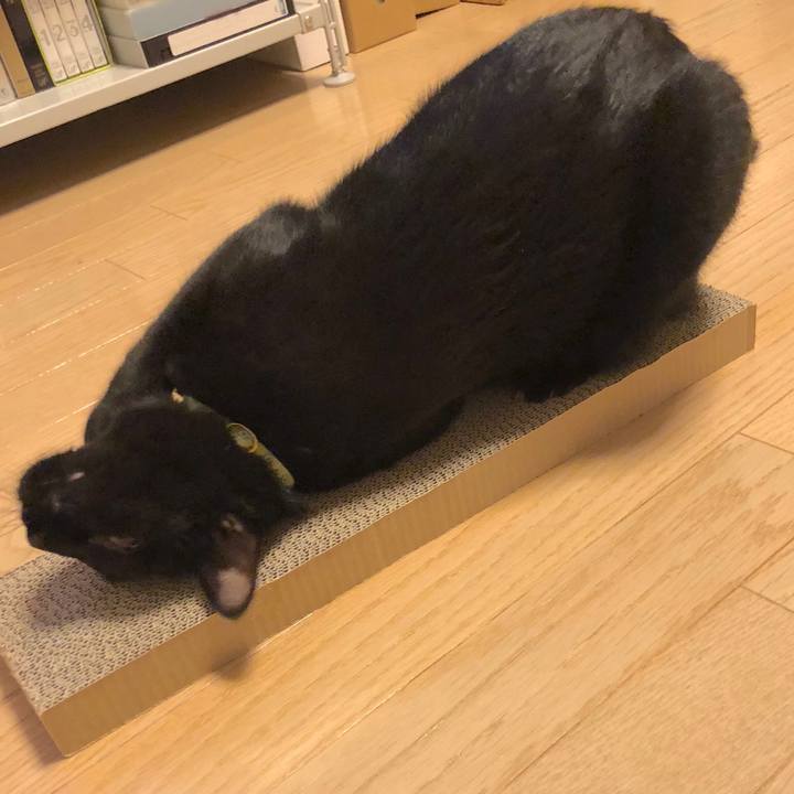 Aa6f3d0e b79f 4725 a9a6 641f2770a36b 1538820716176