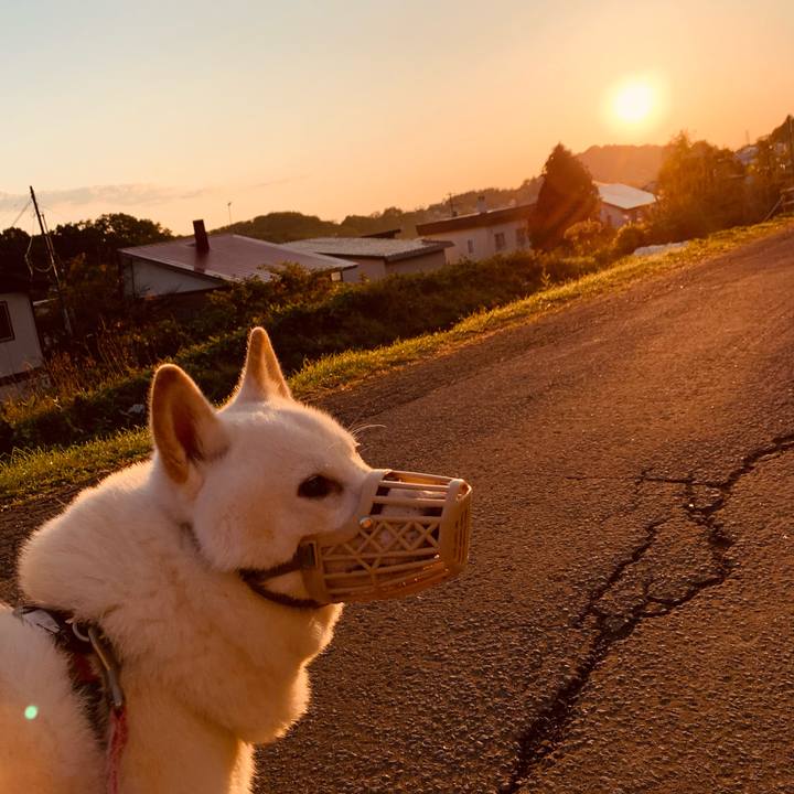 Aa6f49e1 cf5d 4e35 898f 71389f67cd59 1602194966885