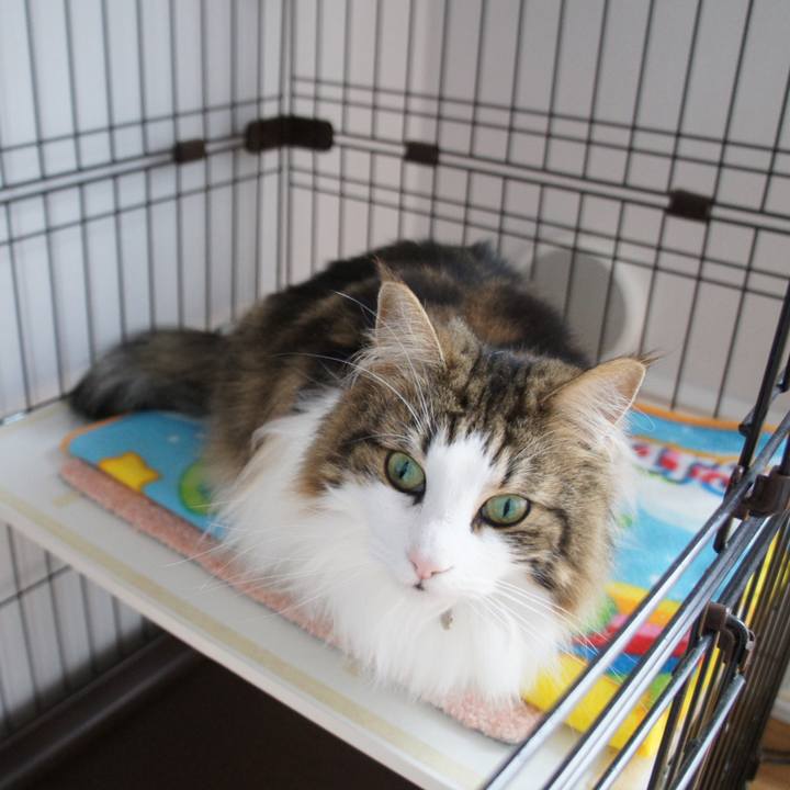 Aa6f4e8c e4cf 4551 86b6 2185aff4b27c 1528342577718