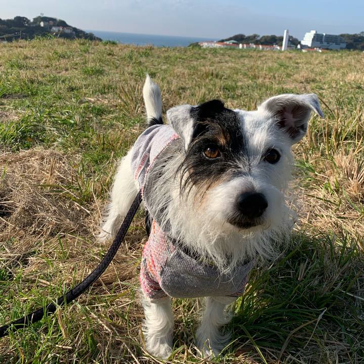 Aa6f50bf df88 41f5 8ff4 92aebd911535 1637197615221