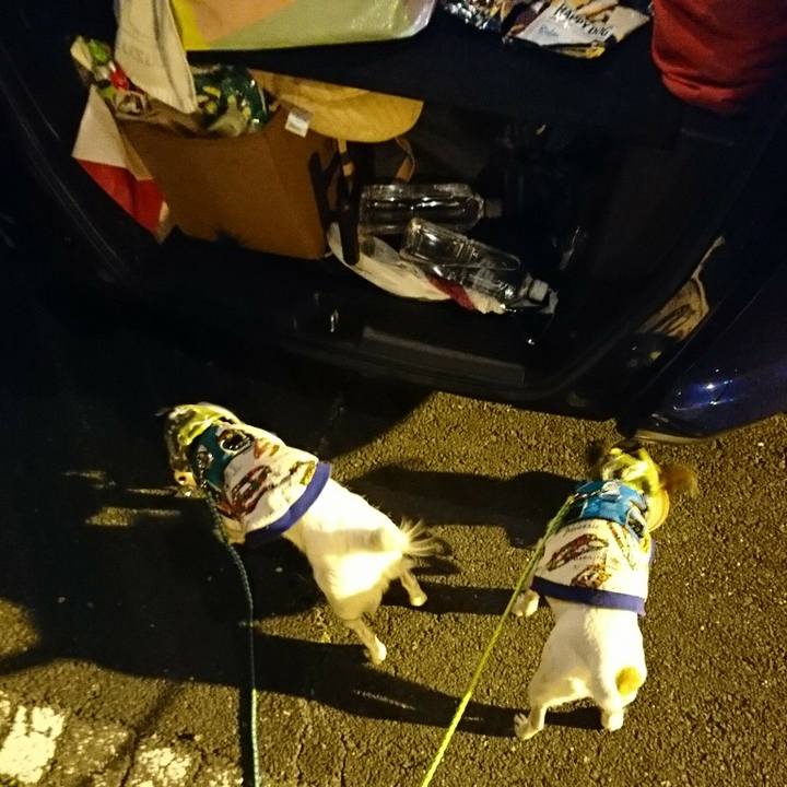 Aa6f7851 eed6 4b8d b4b2 1926ff1efe19 1555763822904