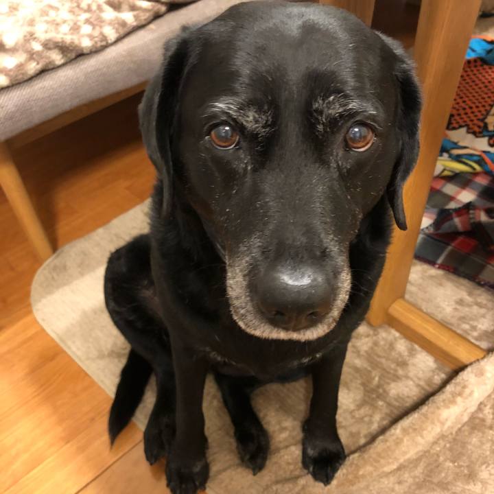 Aa6f7d7c 5e83 4e59 ab53 3778309e27e8 1582852288041