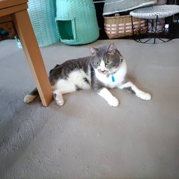 Aa6f8efc 4978 4835 b782 6d0959442eb7 1686865548952