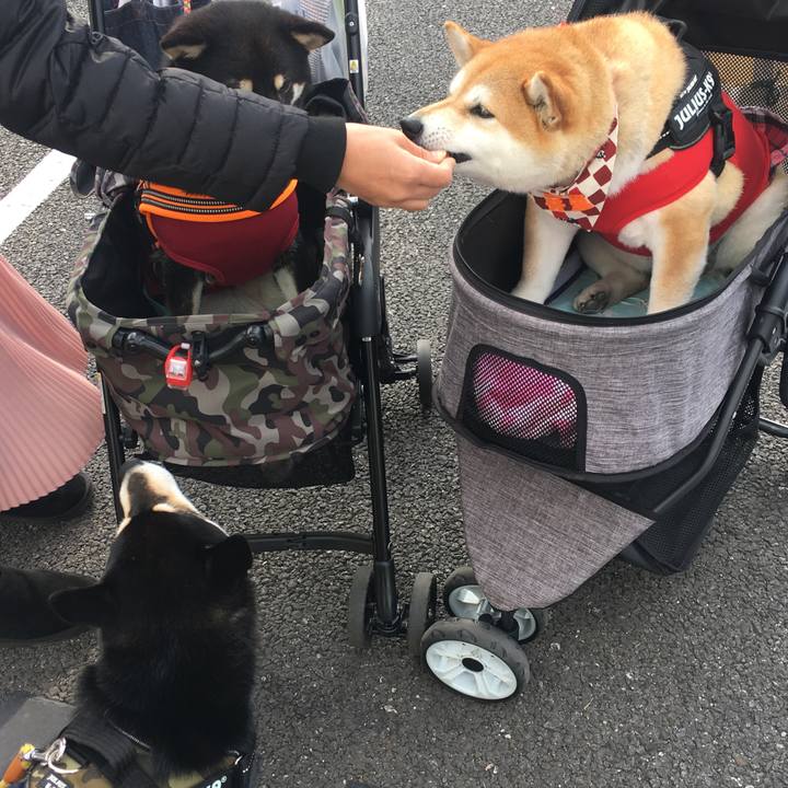 Aa6fa1ce 849c 4eb2 a376 054007ee4a9e 1575198222881