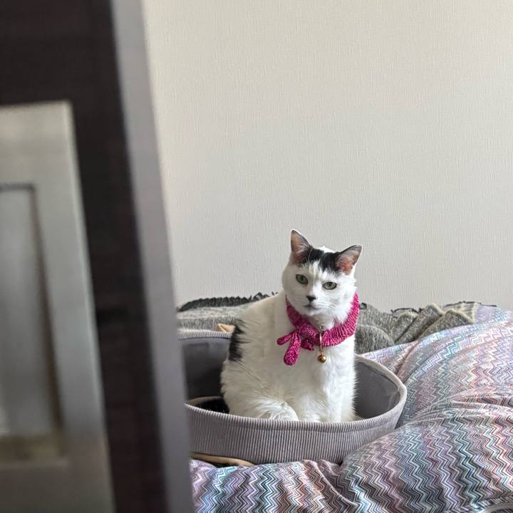 Aa6fb6f3 171e 41b3 81e7 69fbb957338e 1773451926223