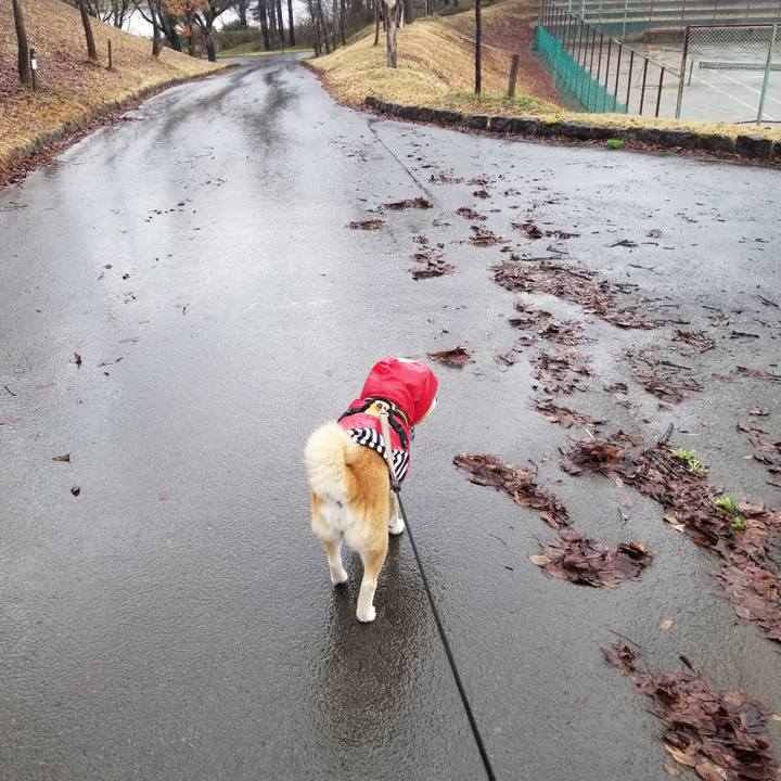 Aa6fc9b5 edd4 49b5 af7b 20d1d1c49df3 1712633730157