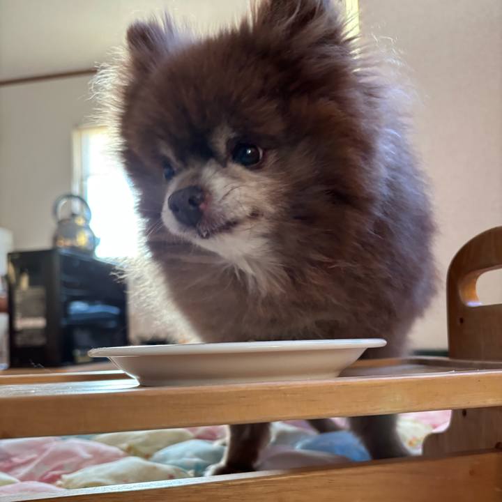 Aa6fd01d 63f7 42df bf8a e17ca1ecae08 1764975596064