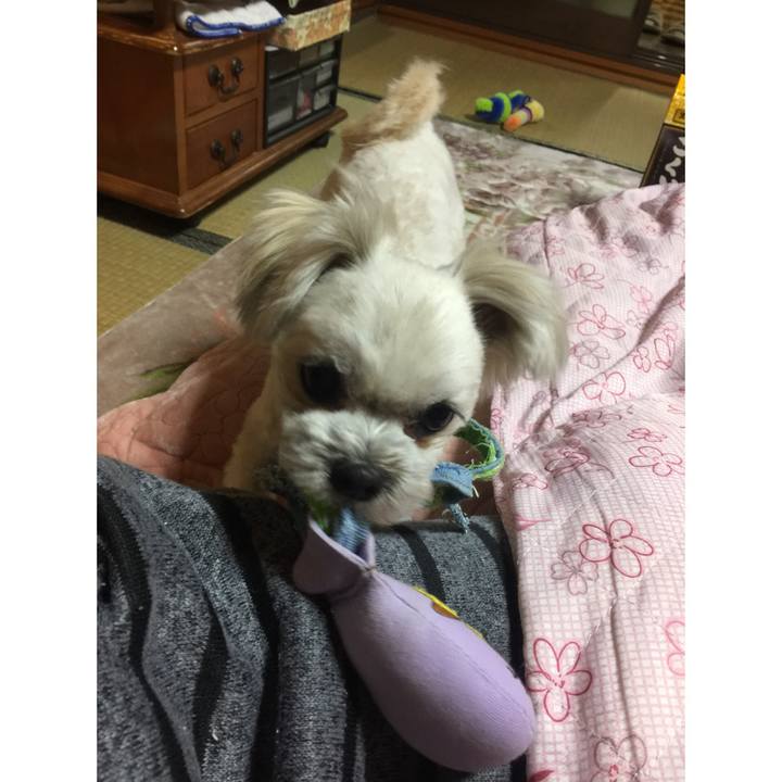 Aa6fe1b4 fbfd 43ff 9caa d9886e96c18c 1519470325123