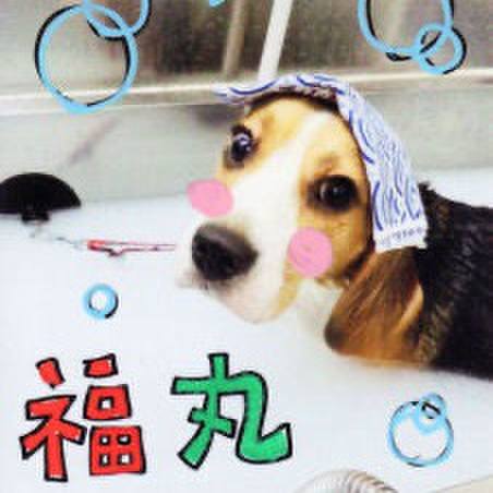 Aa6ff2c9 c2d7 4d88 ae6f 3eeadb021271 1700966612565