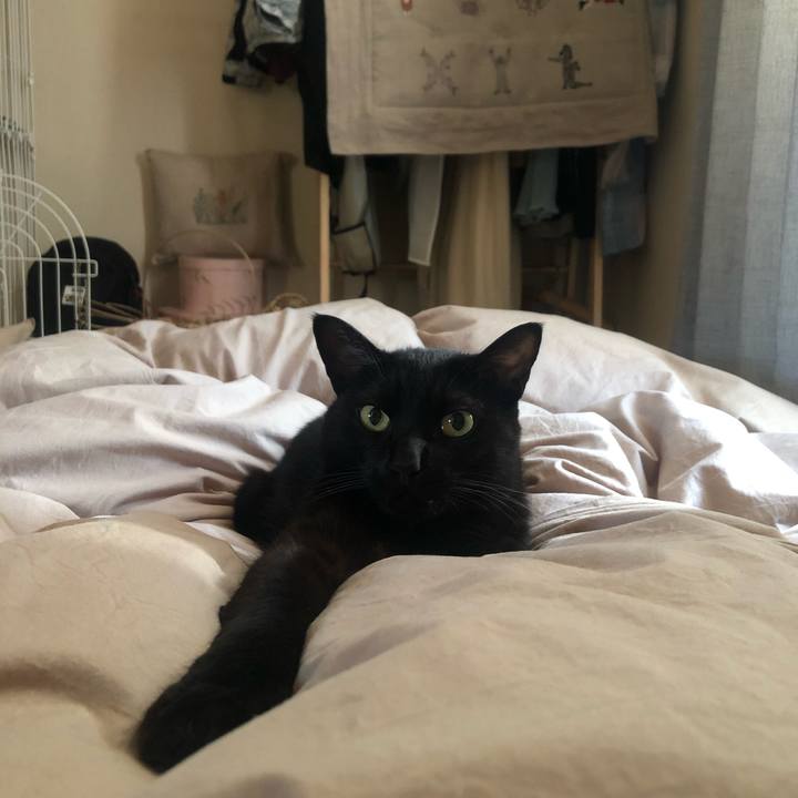 Aa700962 3de7 4f53 b168 2d123ac03ac5 1618781442030