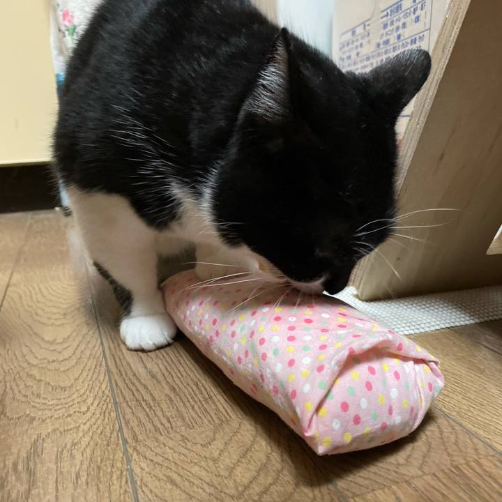 Aa703d99 8786 4ee8 931b 7feb05413311 1704379801299