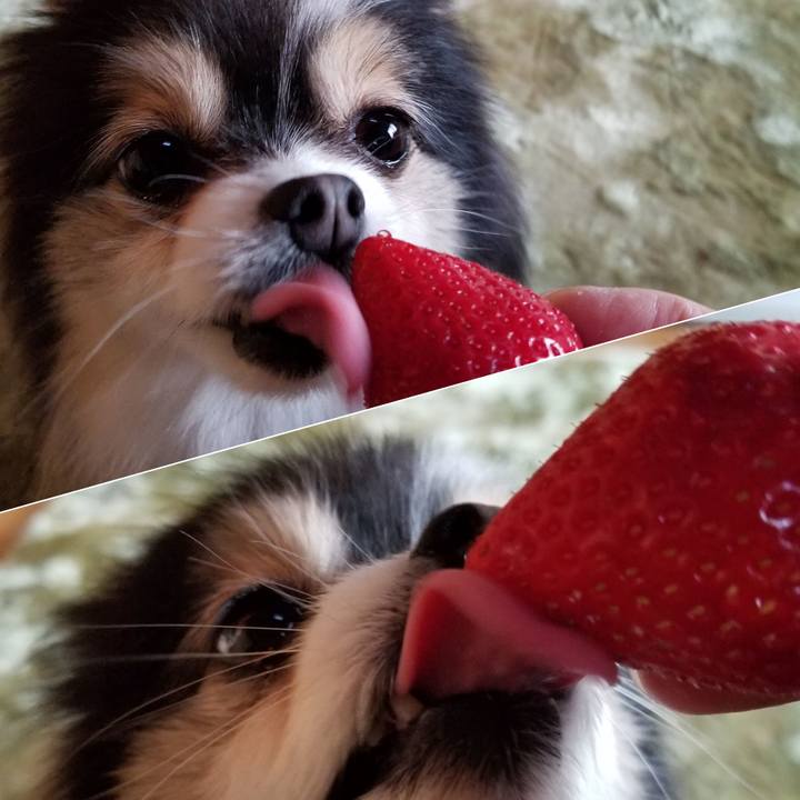 Aa703df4 4ac2 425d 9912 c041f1ed56e5 1582860697868