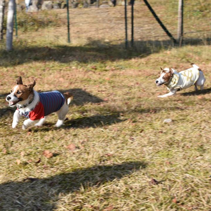 Aa70515f e156 4d83 9033 2c59bf9333e7 1510141627566