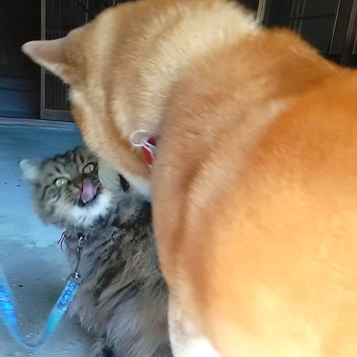 Aa705471 bd17 4145 ac9b f8cd7a45548b 1619046905682